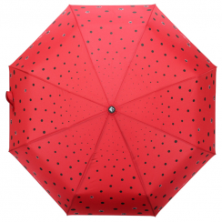 ЗОНТ ЖЕНСКИЙ АВТОМАТ FLIORAJ