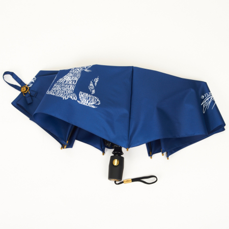 ЗОНТ ЖЕНСКИЙ ПРЕМИУМ АВТОМАТ FLIORAJ