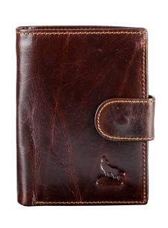 Коричневый