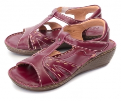 Фиолетовый/Сиреневый