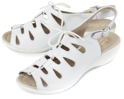 Белый/СеребристыйЦвет: бело-серебряный