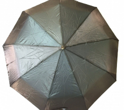 ЗеленыйЦвет: болотный