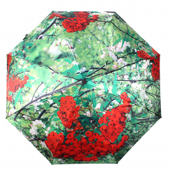 ЗОНТ ЖЕНСКИЙ АВТОМАТ FLIORAJ