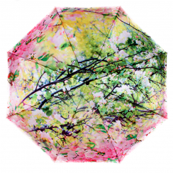 РозовыйЦвет: принт: сакура в цвету