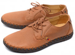 РыжийЦвет: светло-коричневый