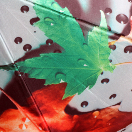 ЗОНТ ЖЕНСКИЙ АВТОМАТ FLIORAJ