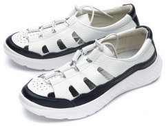 Синий/Белый