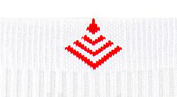 sport высокий микроплюш по стопе белый/красный griff италия