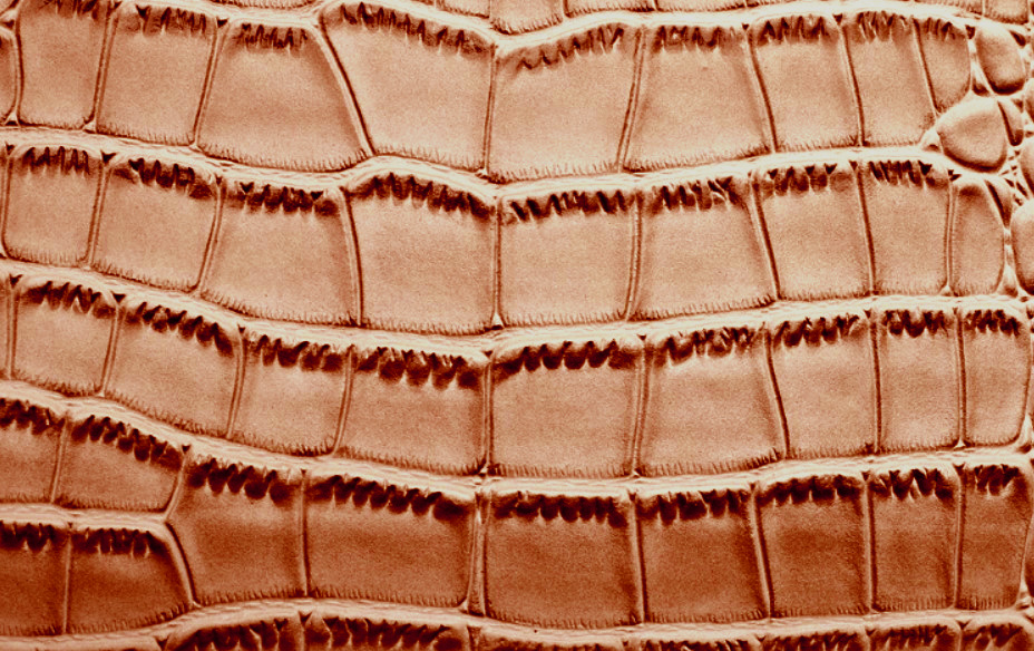 женская сумка экокожа гонконг