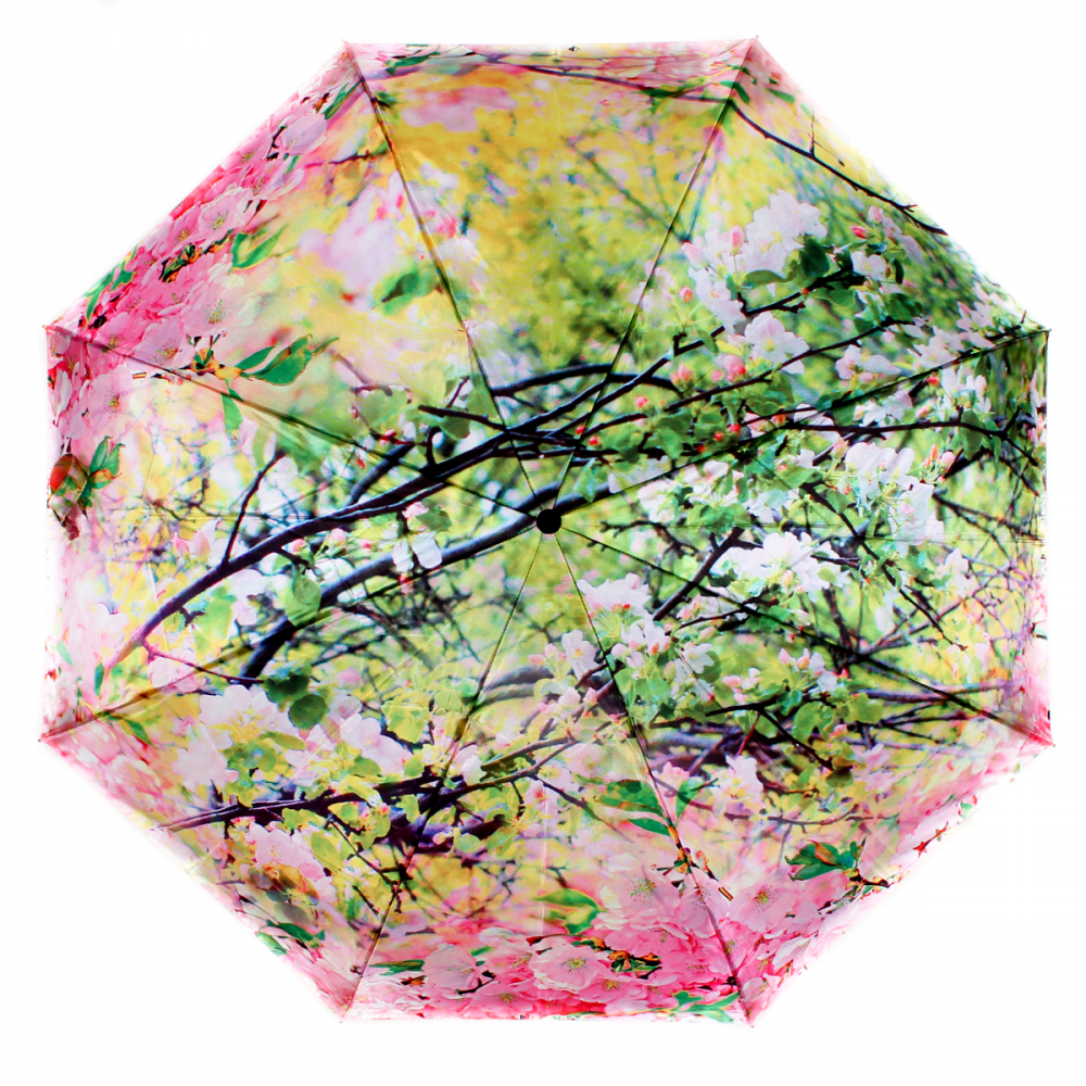 зонт женский автомат flioraj