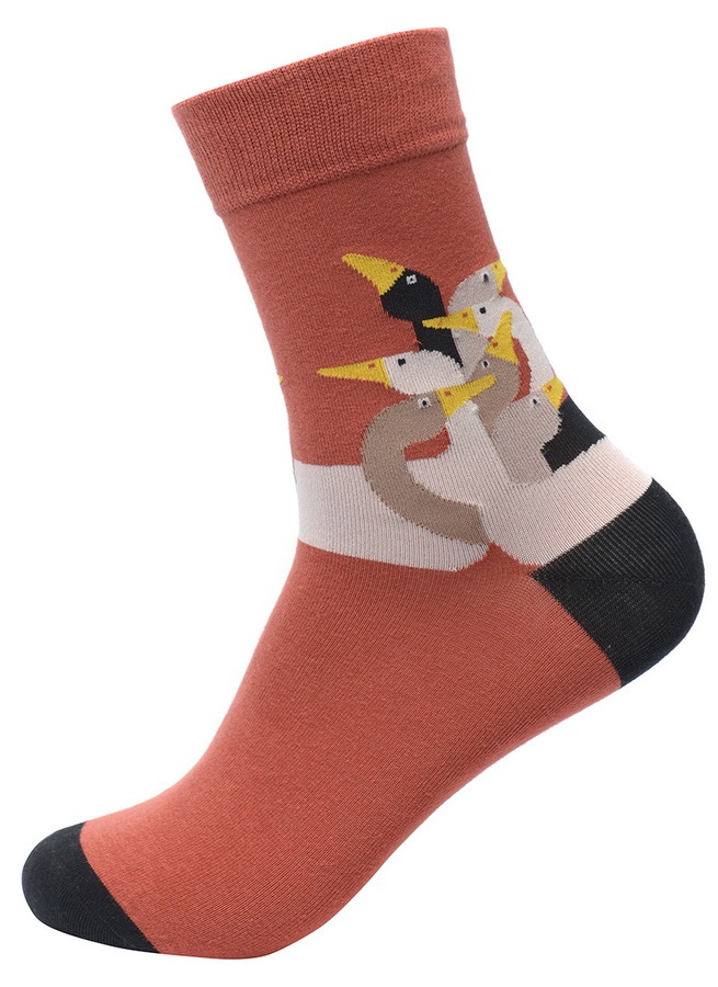 носки женские корея